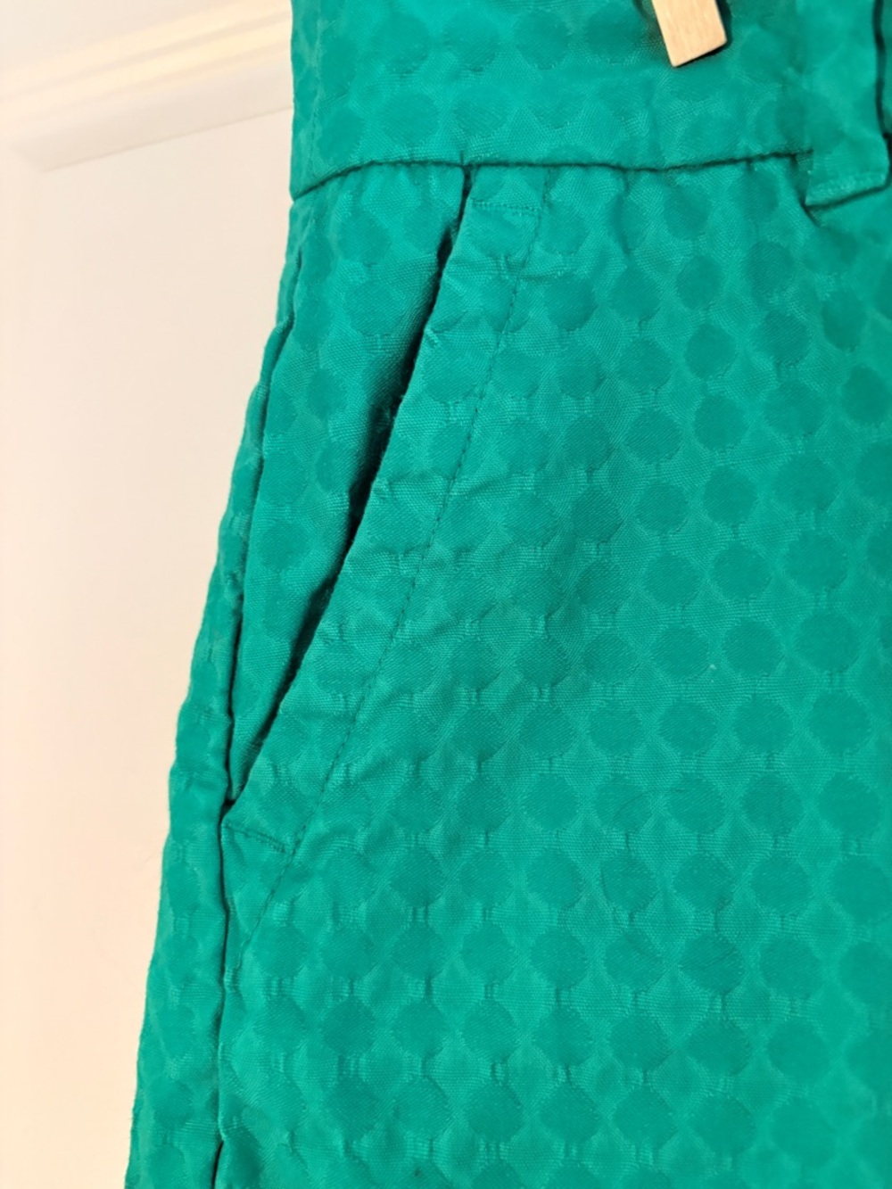 Green Scalloped Hem Shorts, Size 10P - Picture 8 of 12